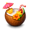 case name icon